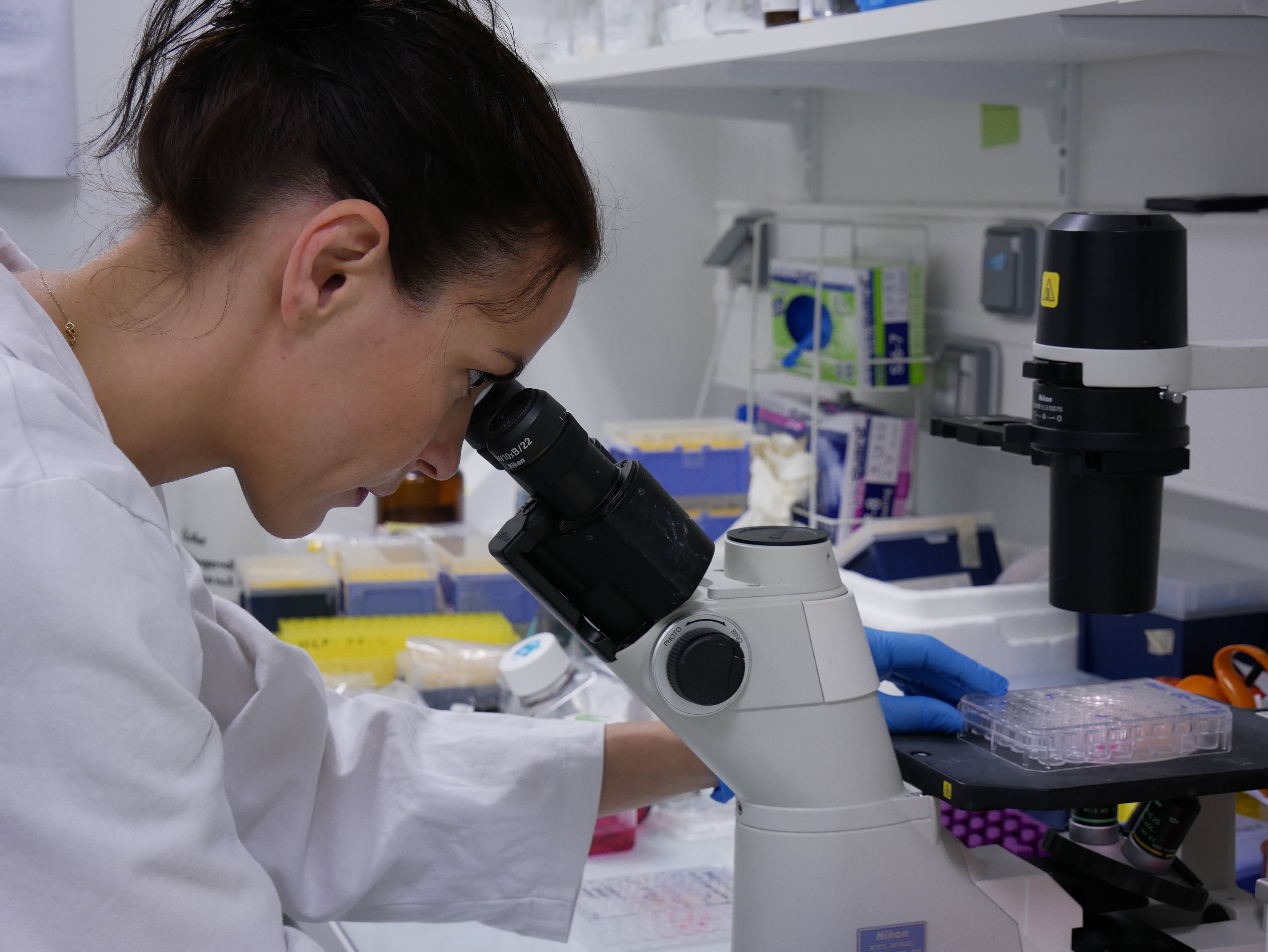 Fondation Recherche Alzheimer